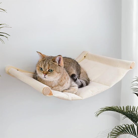 Hamac chat​ blanc chat tabby brun