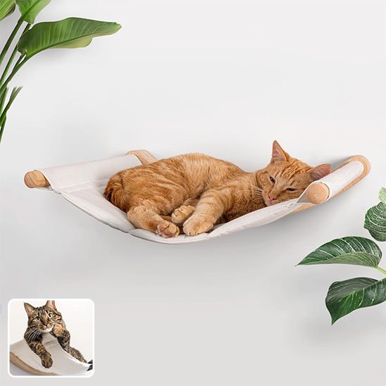 Hamac chat​ blanc cat tigre