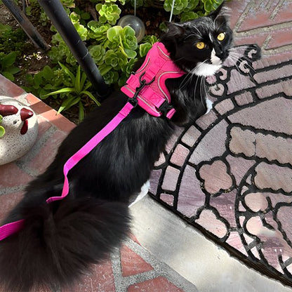 Harnais chat | Harnchat - Smart Felin
