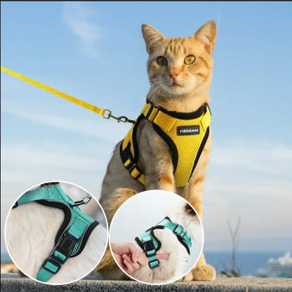 Harnais pour chat jaune chat tigré