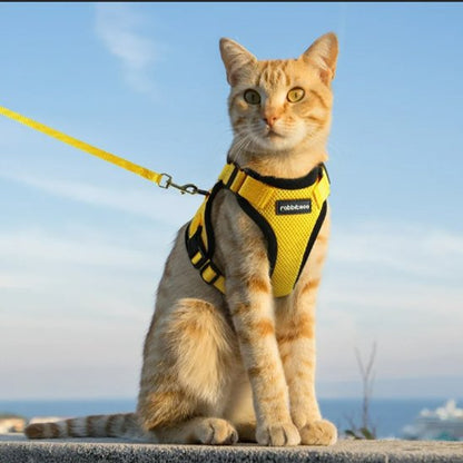 Harnais pour chat jaune