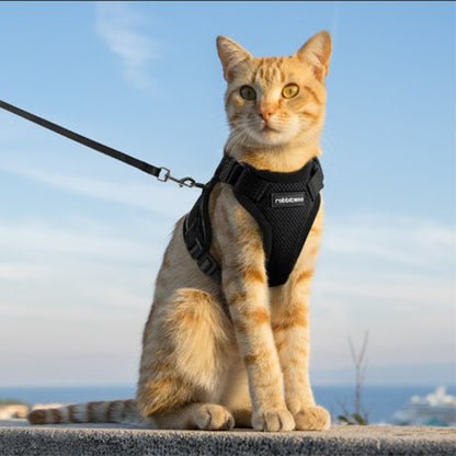 Harnais pour chat noire