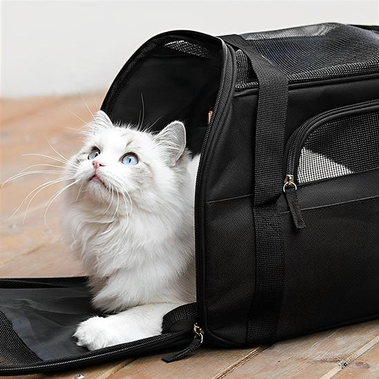 Sac de transport pour chat