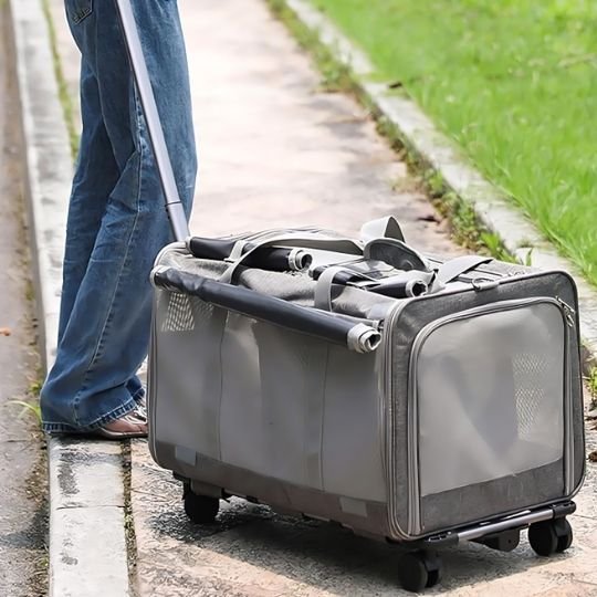 Sac transport chat sur roulette