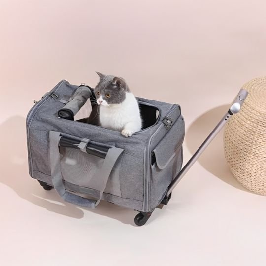 Sac transport chat top ouvert chat gris dedans